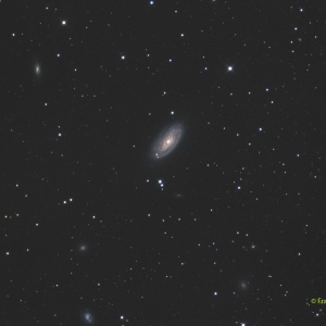 M88-800