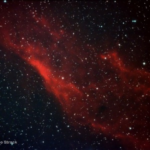 California_Nebel__NGC1499_
