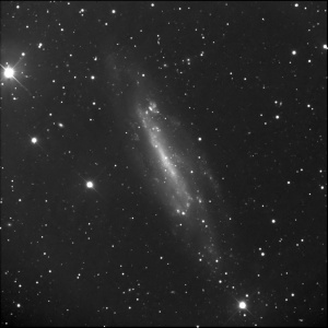 NGC_4236