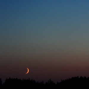 Mond_Venus___bei_Hranice_14-07-10__4_b