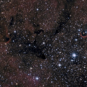 IC 1396 2Std50Min G.Gegenbauer