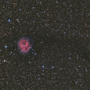 IC 5146 2Std40Min G.Gegenbauer