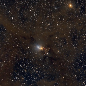 NGC1333 
