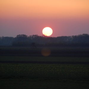 Sonnenuntergang im Hansag (Andau; B)