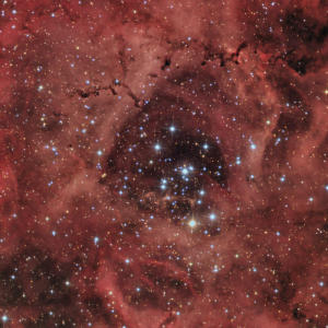 NGC 2244 2h20 Apo + 3h Newton