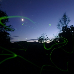 Mond und Venus mit Glühwürmchen - Leuchtkäferspuren