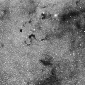 Snake Nebel Barnard 72 30Min