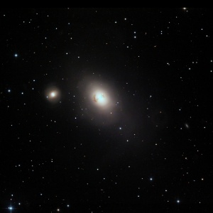 NGC 1316 and Friends