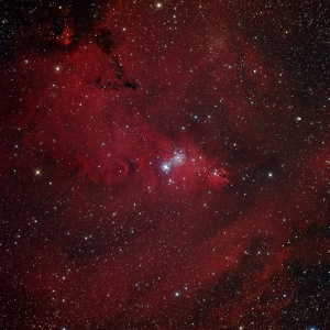 NGC 2246a 2018_2019