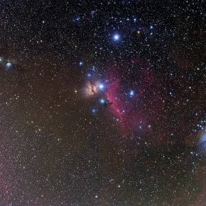 Widefield Orion Horsehead