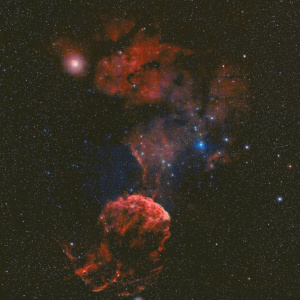 IC 443 der Quallennebel